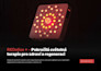 translate and format PDF document into any language